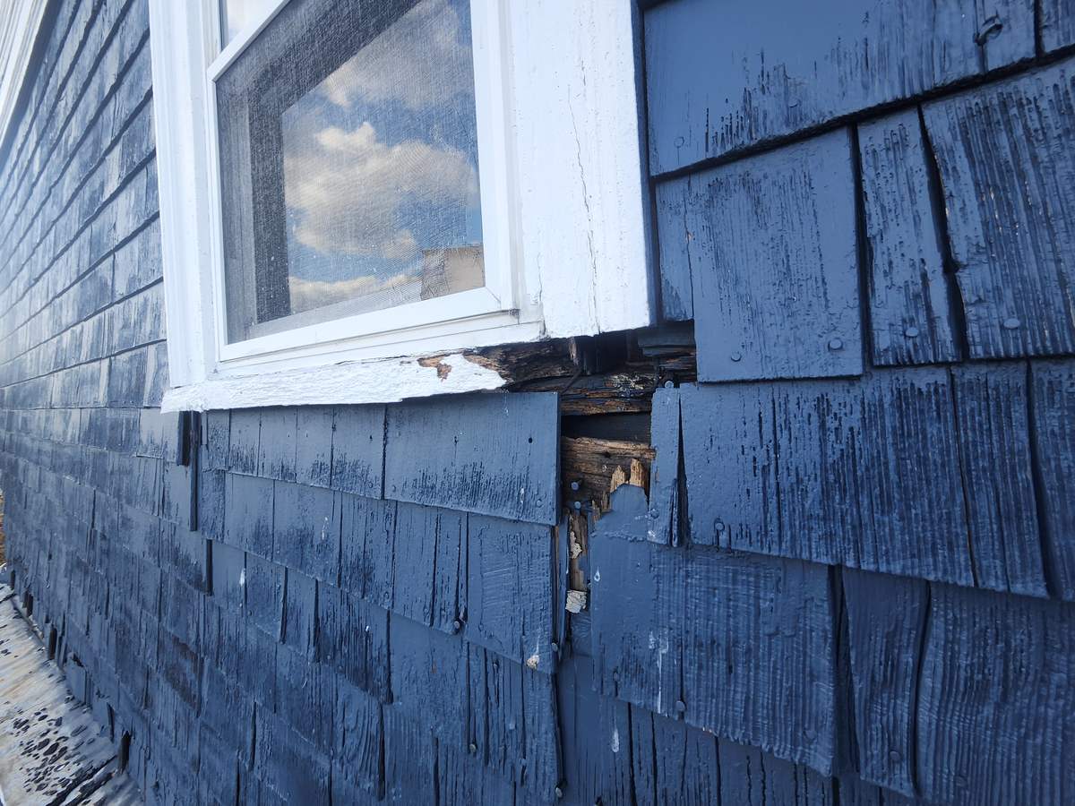 Rotted cedar shingle siding below a window on a blue house before repair